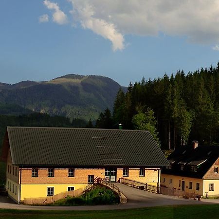 Ferienstadl - Hammerau Göstling an der Ybbs Esterno foto