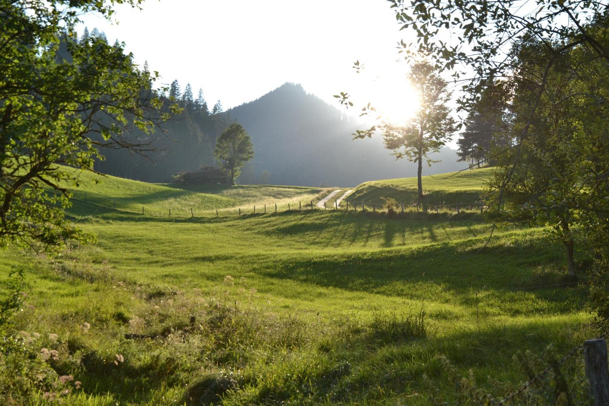Ferienstadl - Hammerau Göstling an der Ybbs Esterno foto