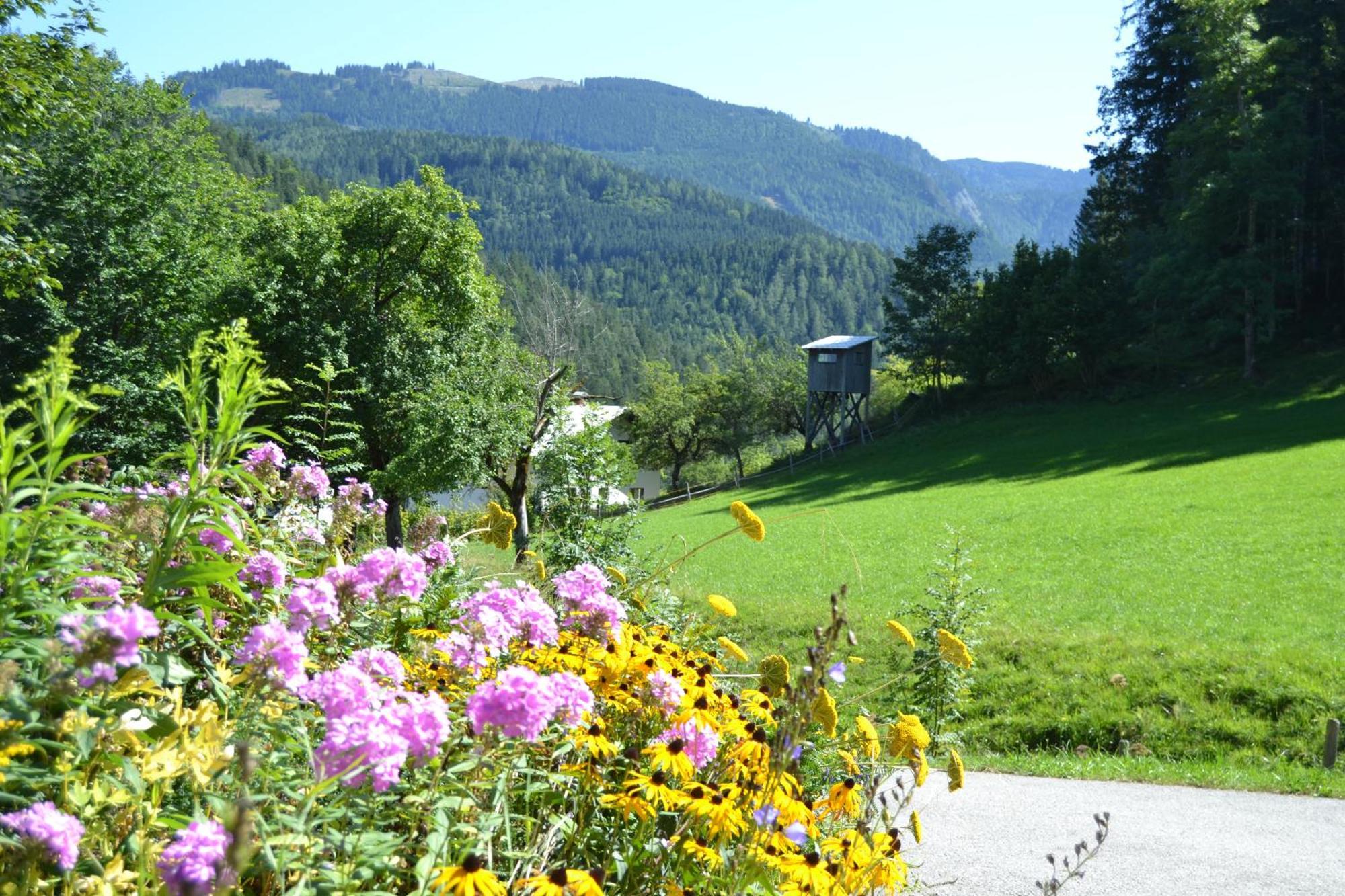 Ferienstadl - Hammerau Göstling an der Ybbs Esterno foto