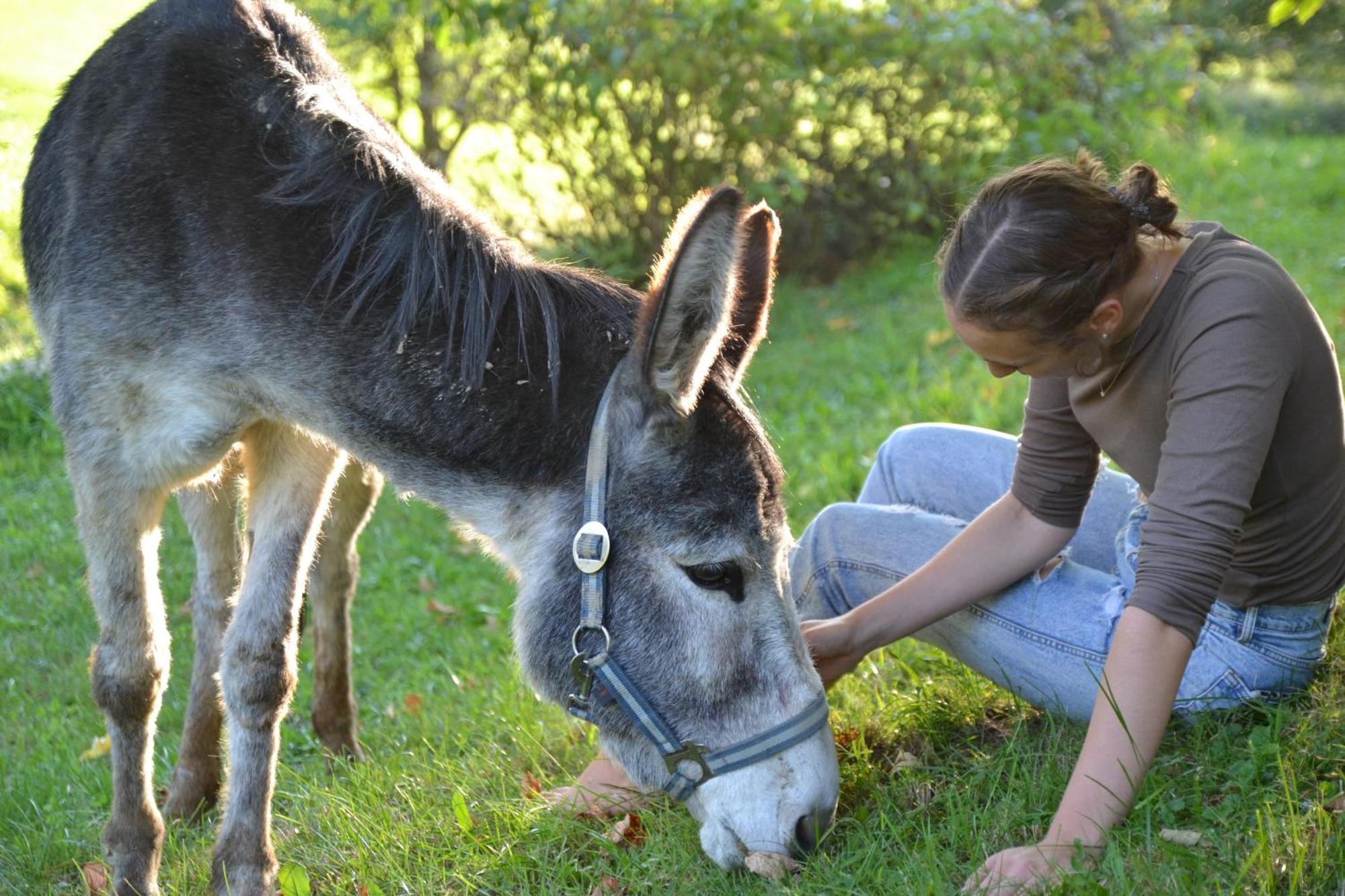 Ferienstadl - Hammerau Göstling an der Ybbs Esterno foto
